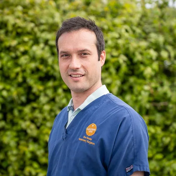 Tom Beale - Luxstowe (Web)